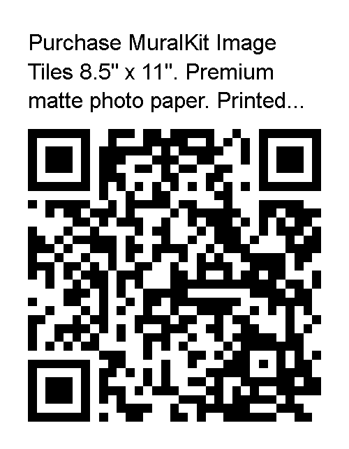 Scan to Checkout with PayPal